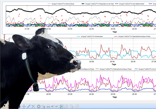 Grafiken und Gesundheitsdaten richtig deuten