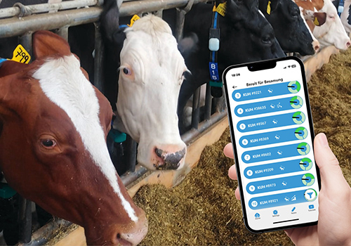 App-Anwendungen mit Diskussion