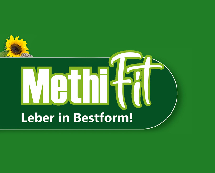 Neues Ergänzungsfuttermittel: MethiFit unterstützt Milchkühe beim Laktationsstart