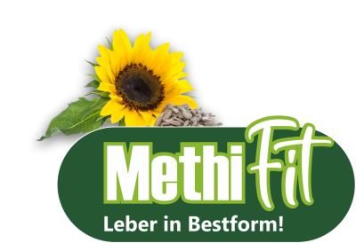 MethiFit Logo 2025